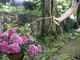 Wąż Karcher Performance Plus 1/2 - 50 m (2.645-319.0) - obraz 6