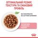 Влажный корм для котят Royal Canin Kitten Chunks in gravy, 85 г - изображение 3