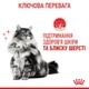 Корм для кошек Royal Canin Hair and Skin Care для здоровья кожи и шерсти, 2 кг - изображение 2