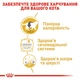 Вологий корм для котів породи Британська короткошерста Royal Canin British Shorthair 85 г - зображення 4