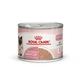Влажный корм для кошек в период беременности и котят Royal Canin MOTHER & BABYCAT Ultra soft mousse, 195 г - изображение 7