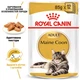 Влажный корм для кошек породы Мейн-кун Royal Canin Maine Coon 85 г - изображение 2