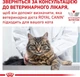 Влажный корм для кошек Royal Canin Diabetic при сахарном диабете, 85 г - изображение 6