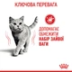 Корм для кішок Royal Canin Light Weight Care з надмірною вагою, 1,5 кг - зображення 2