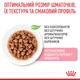 Влажный корм для котят Royal Canin Kitten Sterilised Gravy для стерилизованных, 85 г - изображение 3