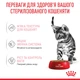 Влажный корм для котят Royal Canin Kitten Sterilised Gravy для стерилизованных, 85 г - изображение 4