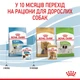 Влажный корм для щенков миниатюрных пород Royal Canin X-Small Puppy 85 г - изображение 6