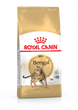 Корм для котів породи Бенгальська Royal Canin Bengal Adult 2 кг - зображення 1