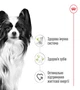 Корм для собак мініатюрних порід Royal Canin X-small Adult 1,5 кг - зображення 2