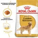 Корм для собак породы Золотистый Ретривер Royal Canin Golden Retriever Adult 12 кг - изображение 2