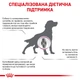 Корм для собак Royal Canin Mobility Support при захворюваннях опорно-рухового апарату, 2 кг - зображення 3