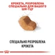 Корм для собак породы Ши-тцу Royal Canin Shih Tzu Adult 1,5 кг - изображение 3