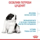 Корм для цуценят собак гігантських порід Royal Canin Giant Puppy 1 кг - зображення 3