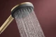 Душевая лейка HANSGROHE Raindance Alive EcoSmart с кнопкой 125мм пластик бронза 24511140 - изображение 5