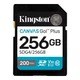 Картка пам'яті SDXC 256 GB UHS-I/U3 Class 10 Kingston Canvas Go! Plus R200/W160MB/s (SDG4/256GB) ( Canvas Go! Plus ) 16442 - зображення 1
