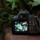 Фотоаппарат Canon EOS 4000D BK 18-55 (3011C004AA) - изображение 10