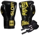 Боксерские перчатки Fairtex BGVG1 Black 16 унций (бинты в комплекте) - изображение 1