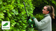 Akumulatorowe nożyce Bosch EasyHedgeCut 18-45 solo (0600849H03) - obraz 8