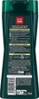 Шампунь зміцнюючий від лупи для жирного волосся - Eugene Perma Petrole Hahn for Dandruff For Dry Hair 250ml (64685-112141) - изображение 3