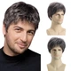 Парик мужской короткий пепельный седой, термоволокно DC WIG-M33A - изображение 1