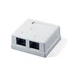 Розетка ATCOM UTP 8P8C RJ45 2 порти накладна біла 15254 - изображение 1