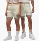 Шорти чоловічі Jordan Dri-Fit Sport S Бежевий DX1487-113 - зображення 1