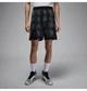 Шорты мужские Jordan Dri-Fit Mesh Diamond M Комбінований HF9907-010 - изображение 2