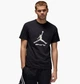 Футболка мужская Jordan Sport Dri-Fit T-Shirt M Чорний HQ7984-010 - изображение 1