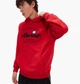 Кофта мужская Ellesse Fentina Open Hem Hoody 2XL Комбінований SHV20204-823 - изображение 1