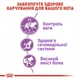 Сухой корм для взрослых стерилизованных котов в возрасте от 12 месяцев до 7 лет STERILISED Роял Канин 4 кг - изображение 5