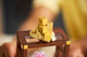 Конструктор LEGO Ideas Колекція мінералів 880 елементів (21362) (5702017829296) - зображення 8