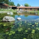 Бактерии для очистки пруда Водограй Чиcтый Ставок 1 кг (против водорослей и ила) - изображение 4