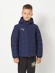 Подростковая демисезонная стеганая куртка Puma teamADDITIONS 65973806 170-176 см Puma Navy-Puma Silver (4067984092083) - изображение 1