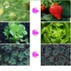 Фитолампа светодиодная для растений Plant Grow Light 7819 фитосветильник лампа для рассады комнатных растений с таймером Черная - изображение 7