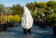 Чехол для укрытия растений Gardenlife КОНУС 160×160 с замком - изображение 5