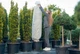 Чехол для укрытия растений Gardenlife РУКАВ 300×80 - изображение 9
