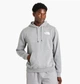 Кофта мужская The North Face Nse Pullover L Сірий NF0A7UNSGVD - изображение 1