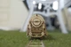 Механічний 3D-пазл UGEARS Локомотив з тендером 443 деталі (70012) (4820184120235) - изображение 6