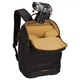 Фото-сумка Case Logic VISO Medium Camera Backpack CVBP-105 Black 25х16х3.8cm (3204534) - зображення 8
