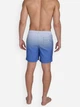 Шорты пляжные мужские Calvin Klein 115463331 XL Синие (1159844240) - изображение 2