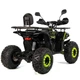 Електричний квадроцикл XTR Venom 1500W -зелений - изображение 4