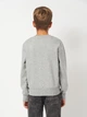 Подростковый теплый свитшот для мальчика Levi`s 9EE331-C87 134-140 см Серый (3666643200107) - изображение 2