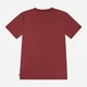 Детская футболка для мальчиков Levi`s 8EA100-RAR 116 см Бордовая (3666643179854) - изображение 6
