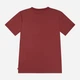 Подростковая футболка для мальчика Levi`s 9EA100-RAR 176 см Бордовая (3666643179663) - изображение 6