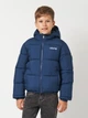 Подростковая зимняя куртка для мальчика Levi`s 9EN633-UF3 134-140 см Синяя (3666643192303) - изображение 1
