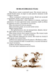 Квітка сонця - Василь Сухомлинський (4417303) - изображение 8