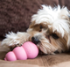 Zabawka Kong Puppy gruszka-karmidło dla szczeniąt małych ras S (35585131313) - obraz 4