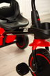 Rower 3-kołowy Caretero Loco Czerwony TOYZ-0350 (5908310391298) - obraz 12