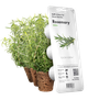 Змінний картридж Click&Grow Розмарин 3 шт (8936) - зображення 1