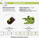 Змінний картридж Click&Grow Бок-чой 3 шт (9131) - зображення 5